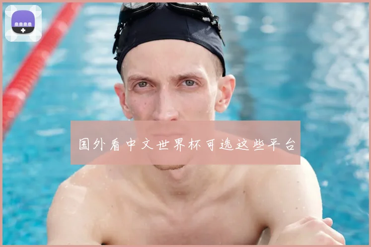 国外看中文世界杯可选这些平台